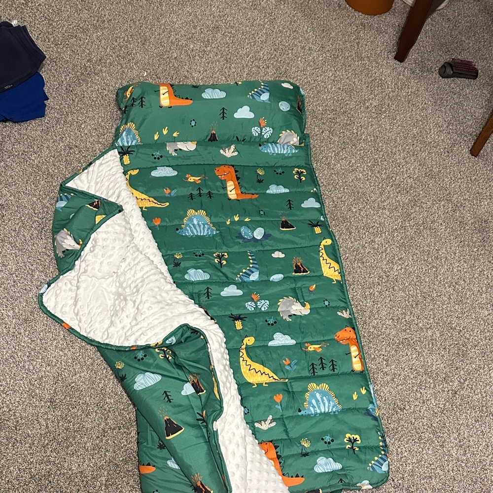 Green Dinosaur Sleeping Bag